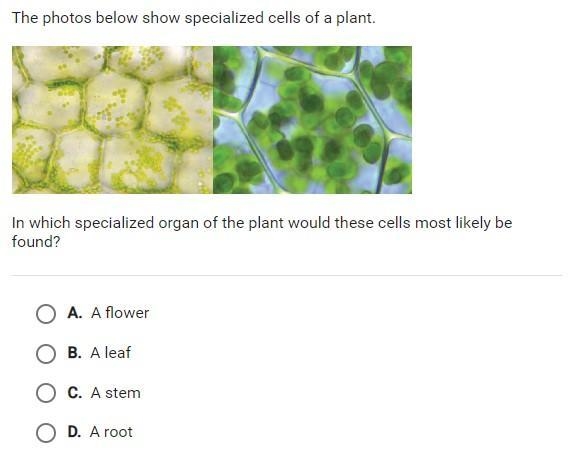 Please help me out once again-example-1