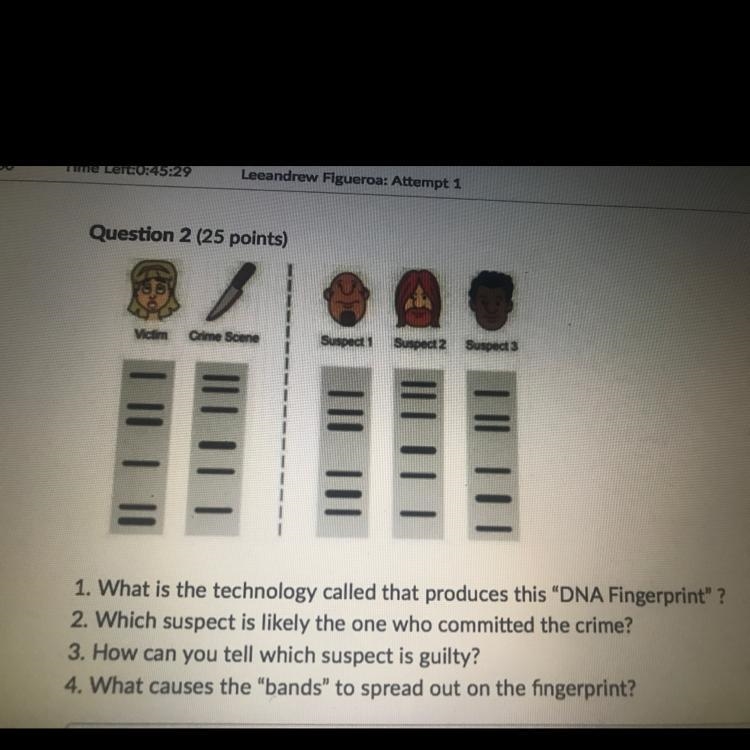 Need help with all the questions please help!!!-example-1