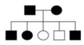 What are the genotypes of the parents shown in this pedigree if the disorder is a-example-1