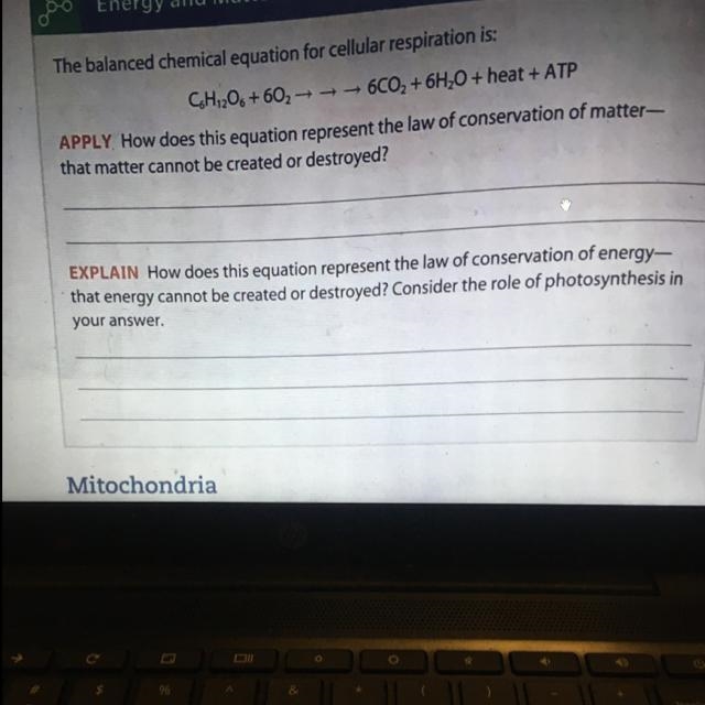 Help please I do not understand-example-1