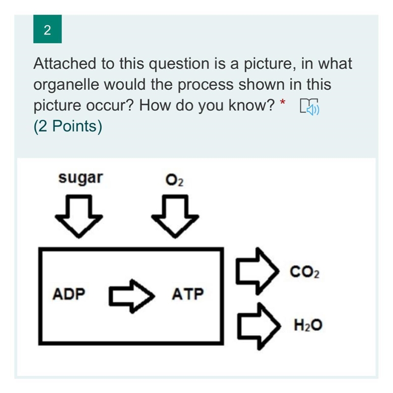 I need some answers for this question-example-1