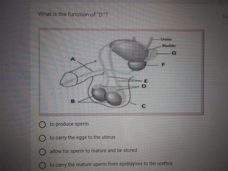 Please help biology home work helppppppp-example-1