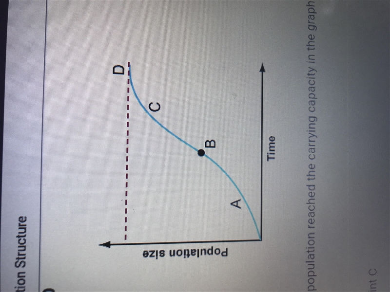 Where has the population reached the carrying capacity in the Graph shown above? (need-example-1