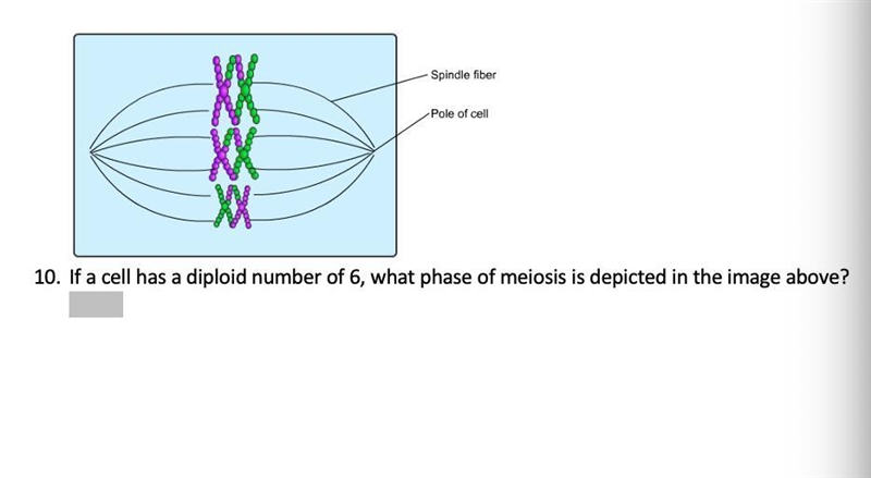 I'm so confused... please help-example-1