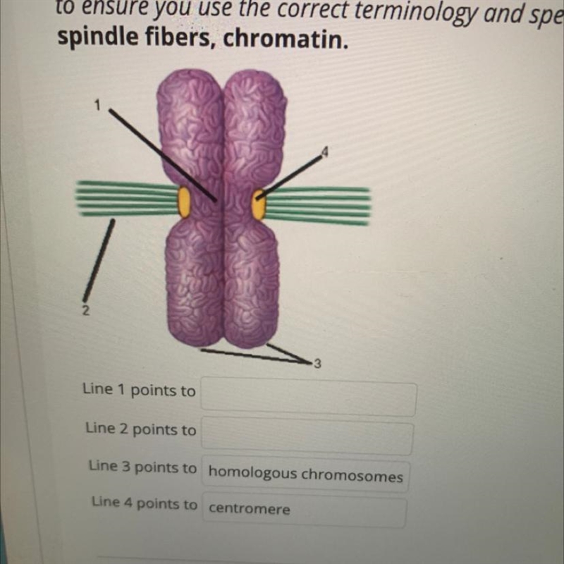 Use the correct terminology and spelling-example-1