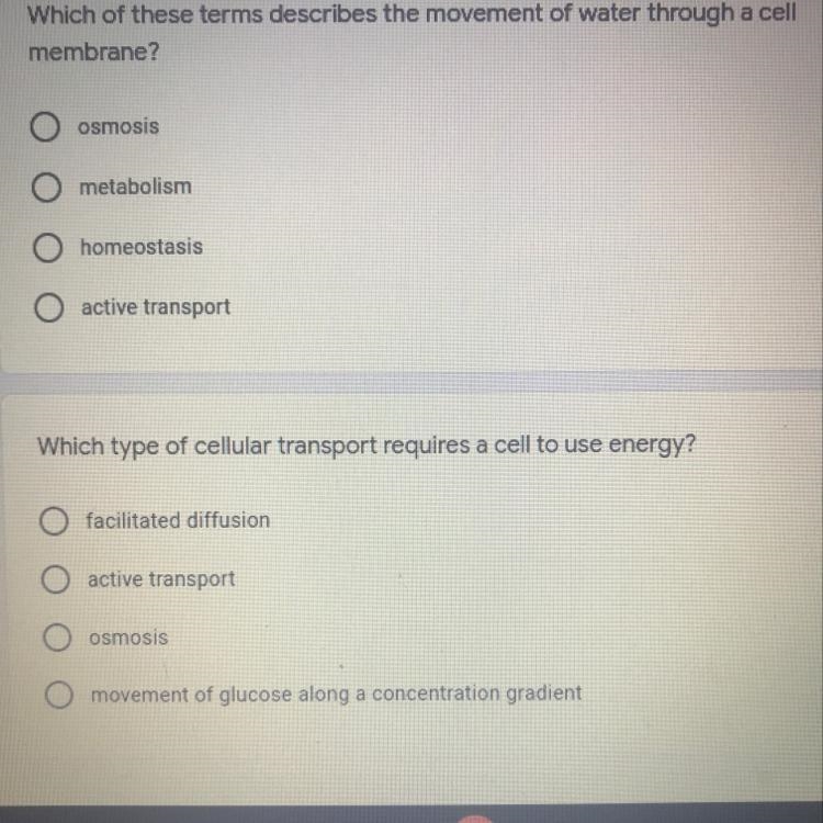 I need some help with these questions-example-1