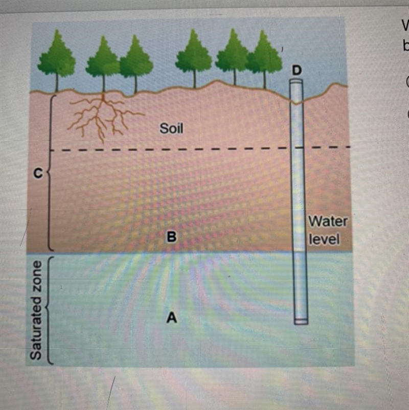 Which part of this diagram shows the place that has both air and water? O Label A-example-1