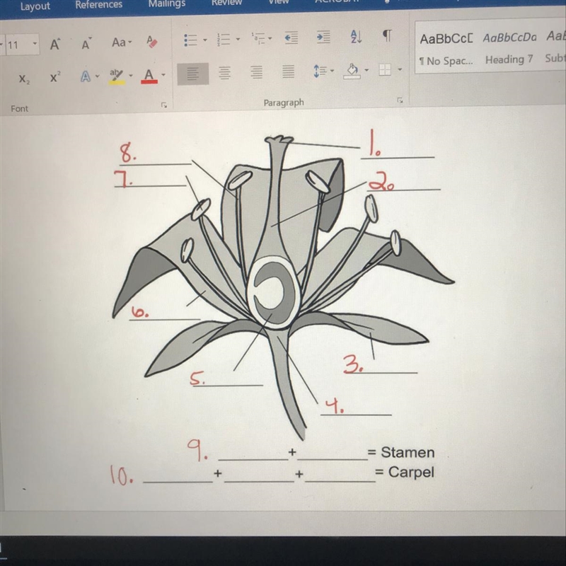 Does anyone know this? Help please-example-1