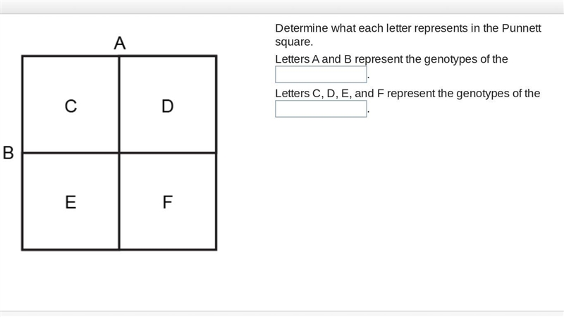 Answer needed !ASAP!-example-1