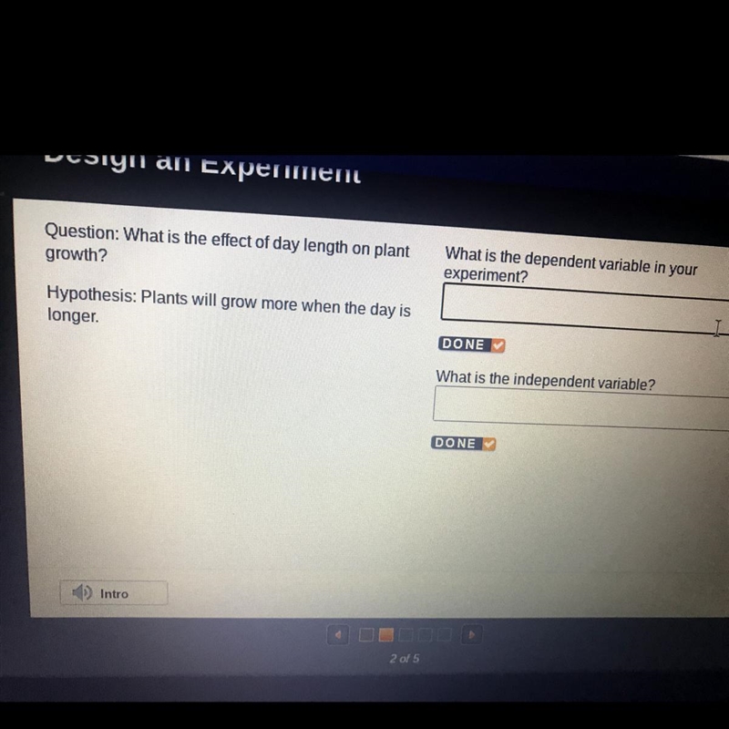 Question: What is the effect of day length on plant growth? What is the dependent-example-1