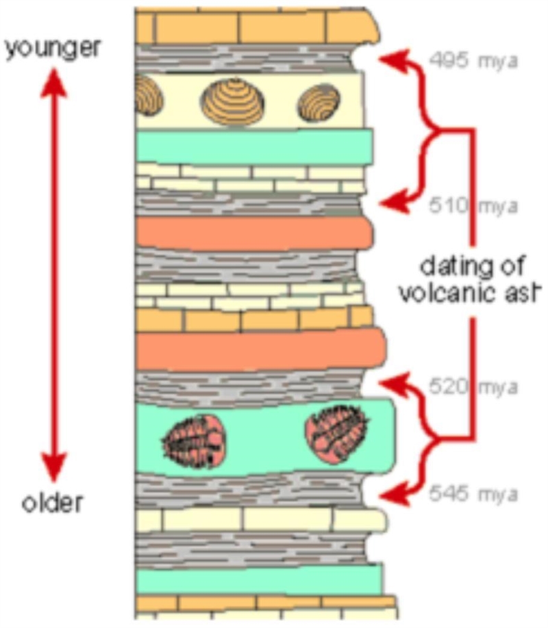 Use the diagram below to answer the following question. Which of the following statements-example-1