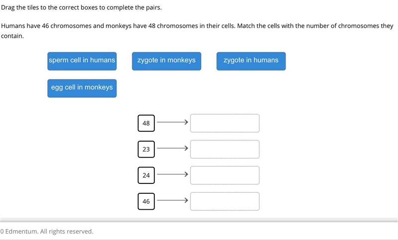 Help as fast as possible plz-example-1