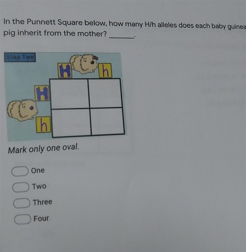 I just don't understand Punnett Squares​-example-1