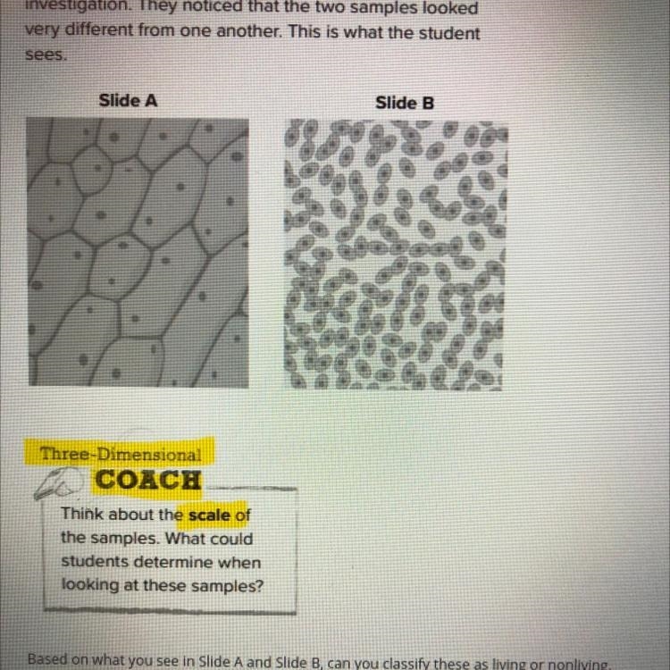 Hi! Please help. Is it living or nonliving?-example-1