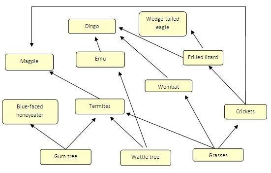 Which organism in the food web below gets energy directly from ants?-example-1