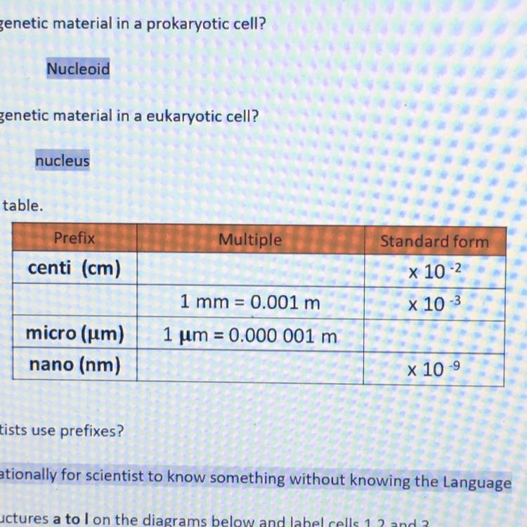 Please help me completing this biology table. 25 points !! :((-example-1