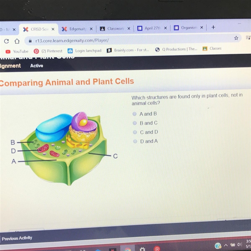 Which structures are found only in plants cells, not in animals cells?-example-1