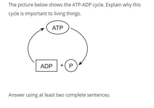 Please pleaseee help me with this asap! pleaseeeeee-example-1