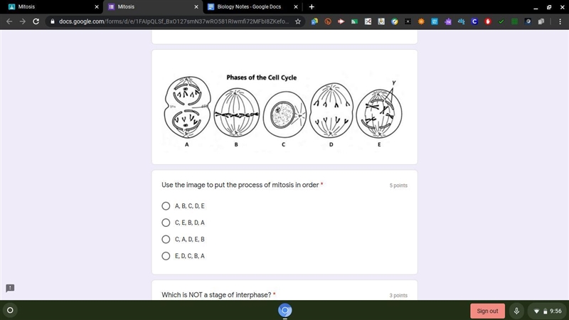 What is the order of the phases based on the image?-example-1