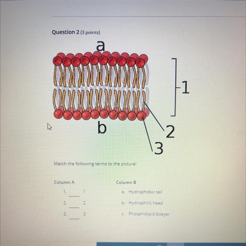 Please help it is a very important test and I do not know the answer.-example-1