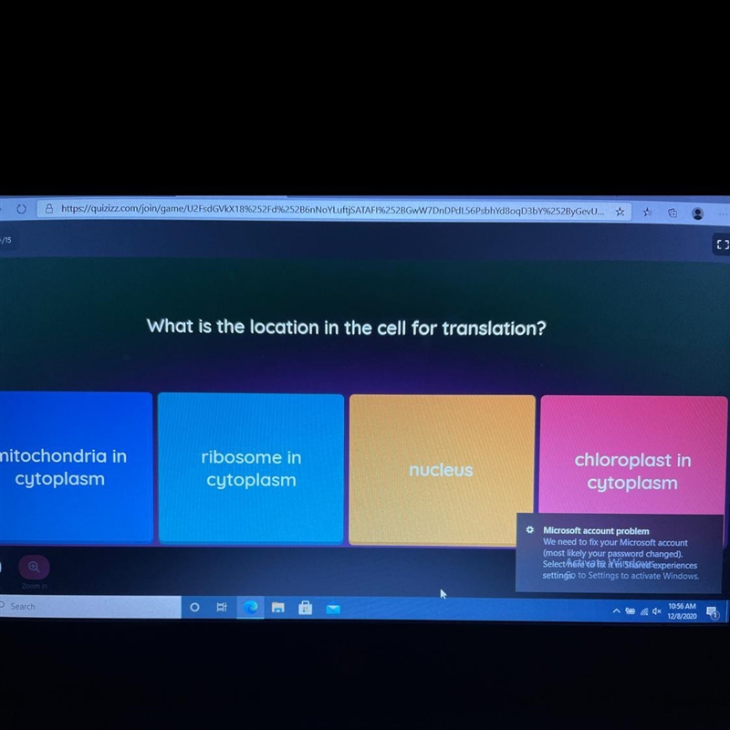 What is the location in the cell for translation?-example-1