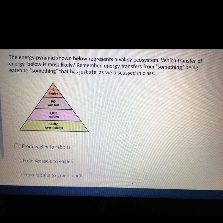 The energy pyramid shown below represents a valley ecosystem. Which transfer of energy-example-1