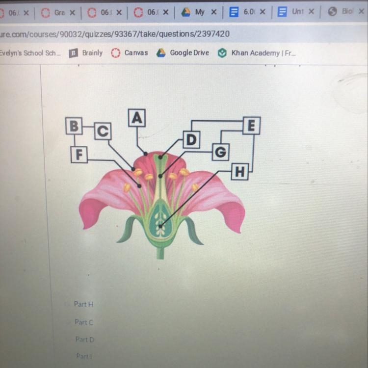 PLEASE HELP ME ASAP ITS MY LAST QUESTION Angiosperms are flowering plants the carpal-example-1