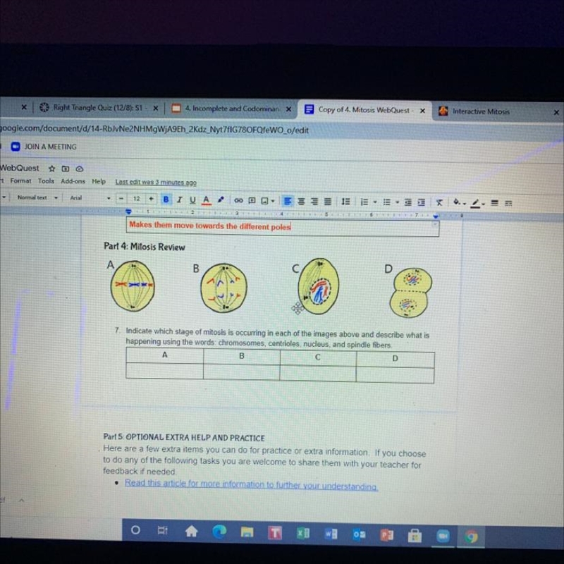 7. Indicate which stage of mitosis is occurring in each of the images above and describe-example-1