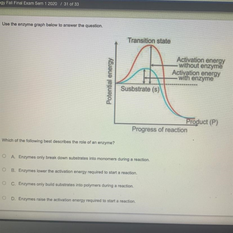 Which of the following best describes the role of an enzyme?-example-1