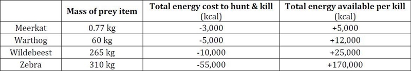 Larger lions have 15,000 kcal on average to expend per day and need to gain more than-example-1