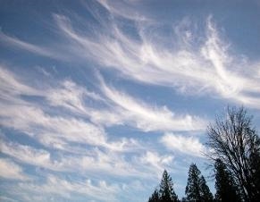 What type of cloud is this an picture of? Select one: a. stratus b. cumulus c. cirrus-example-1