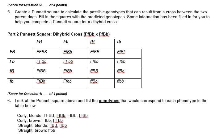 Tell me if i'm correct please Please don't lie either :(-example-1