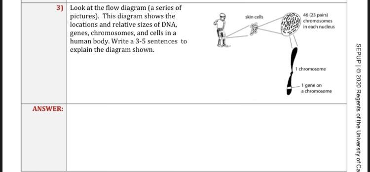 Can someone help me-example-1