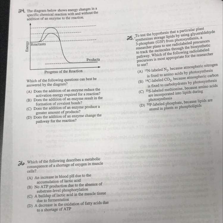 Pls pls pls help answer 24-26 asap-example-1