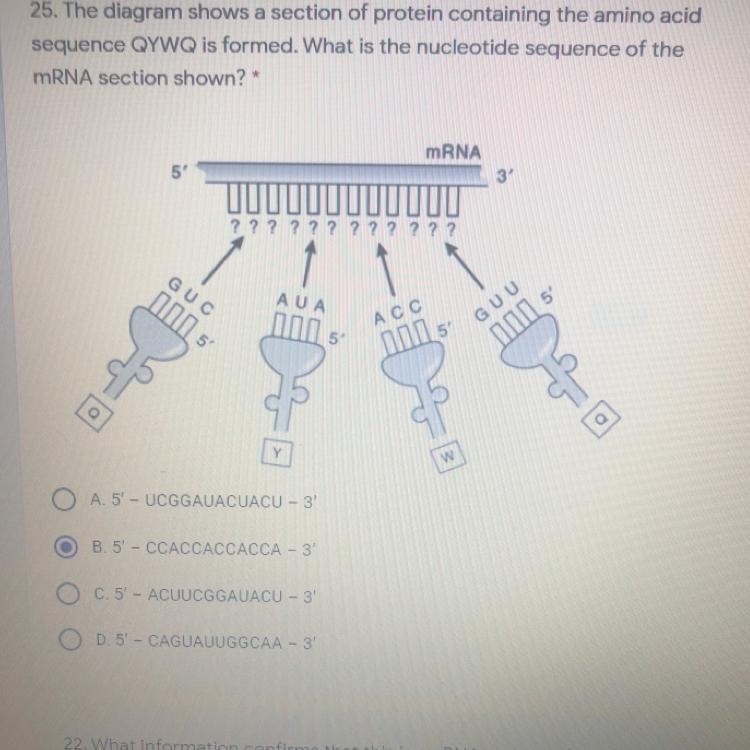 Anybody know the correct choice for this? Is the answer correct I will mark you as-example-1