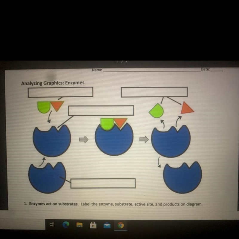 Enzymes labeled. please help i really don’t understand ! asap-example-1