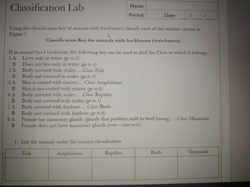 Can you list the animals under the correct classification-example-1