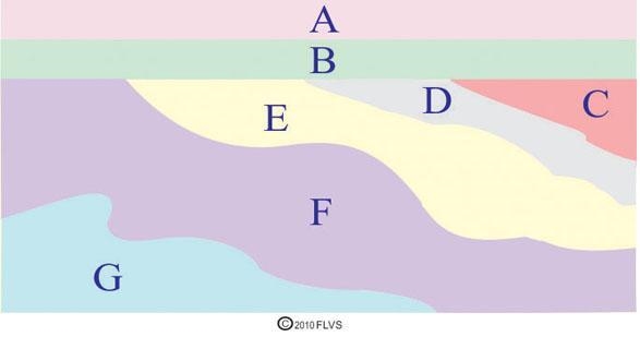 The diagram below shows different layers of sedimentary rocks. Based on the diagram-example-1