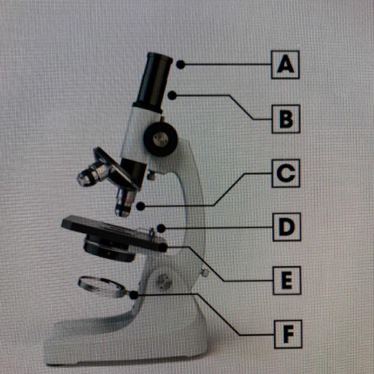 Identify the objective lens of the compound light microscope. (1 point) Part A Part-example-1