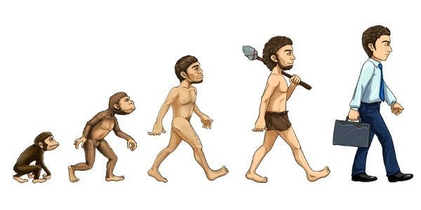 A student draws this model to show how humans evolved from ancestral primates. What-example-1