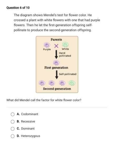 I need help please 10 points-example-1