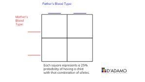 Complete the Punnett square and select the best response for this cross. (May take-example-1