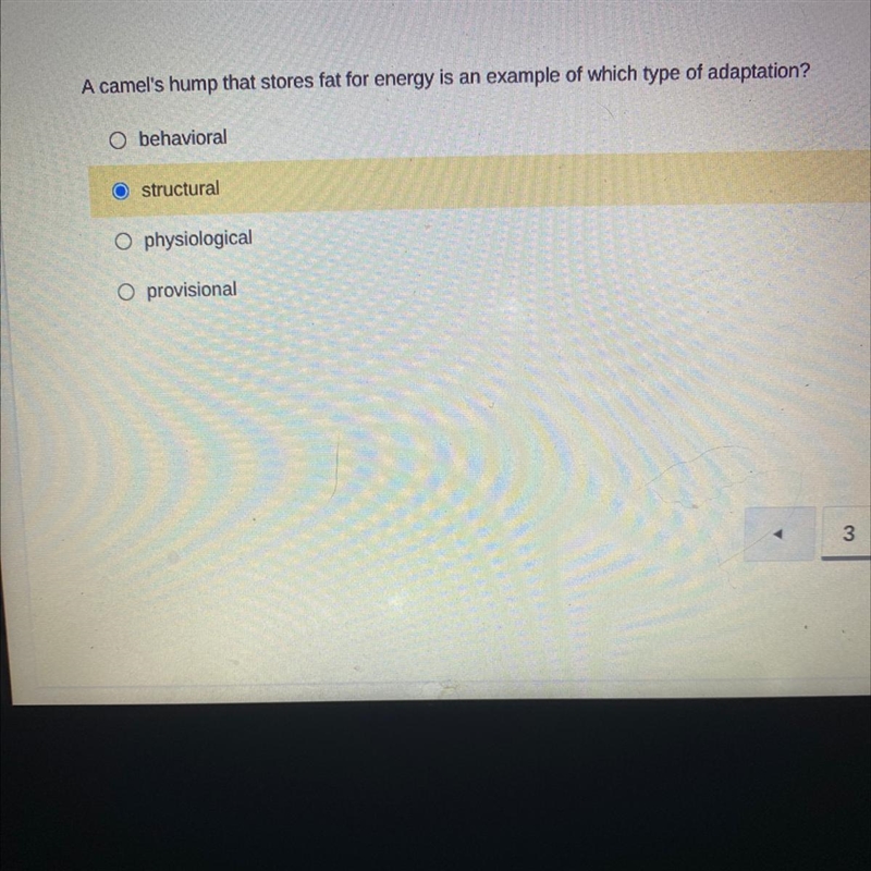 Which one because I have no clue-example-1