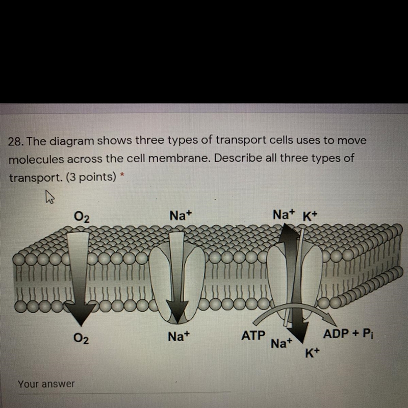 Please help meeeeeee I’m begging you-example-1