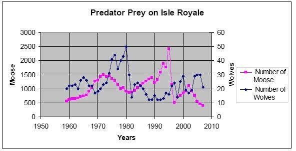 What would happen to the moose population if the wolf population decreases?-example-1