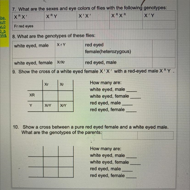 Help! bio homework....-example-1