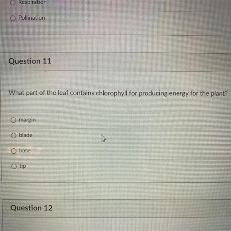 What part of the leaf contains chlorophyll for producing energy for the plant?-example-1