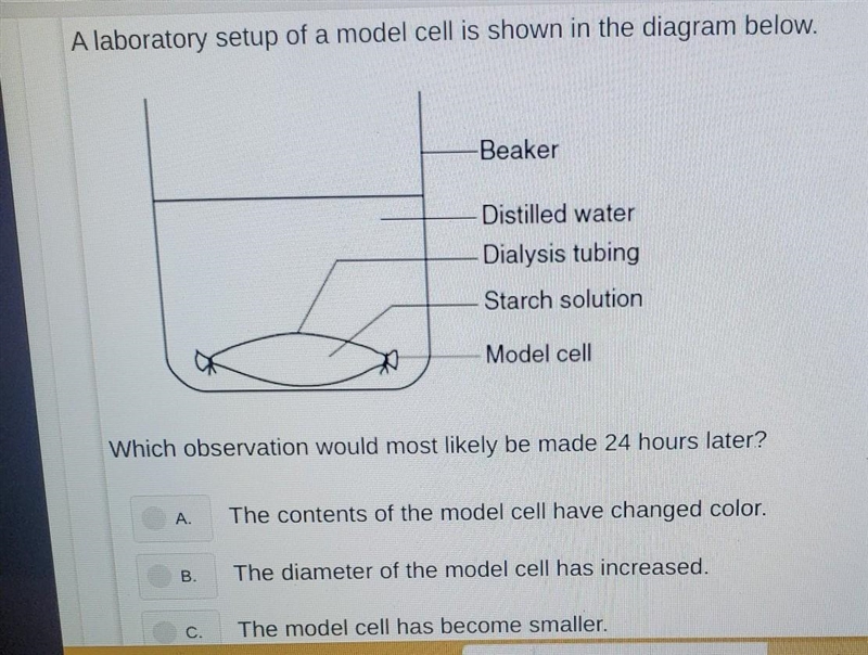 D. the amount of distilled water in the beaker has increased are the answer choices-example-1