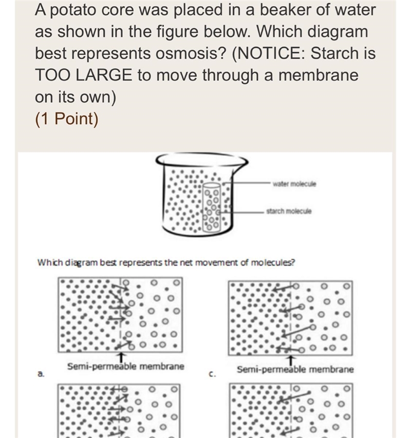 A potato core was placed in a beaker of water as shown in the figure below. Which-example-1