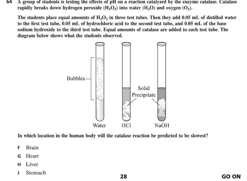 In which location in the human body will the catalase reaction be predicted to be-example-1